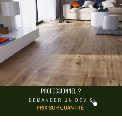 demandez un devis pro (6)
